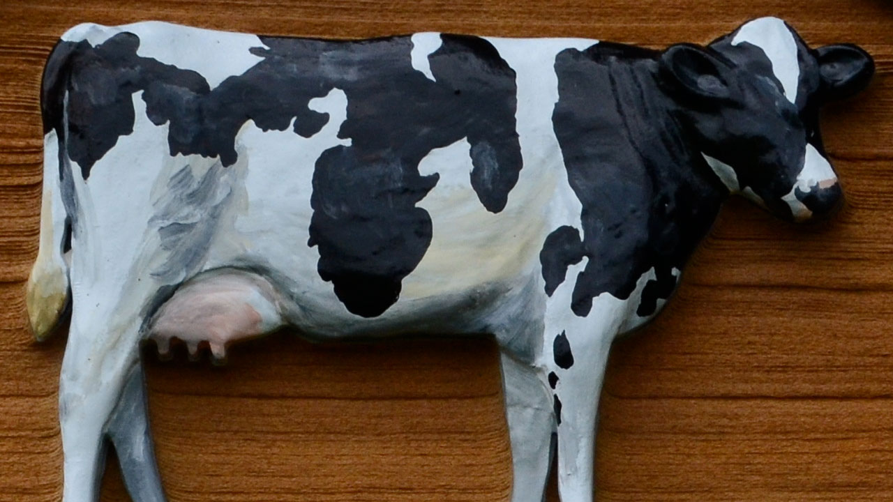 3D Cow